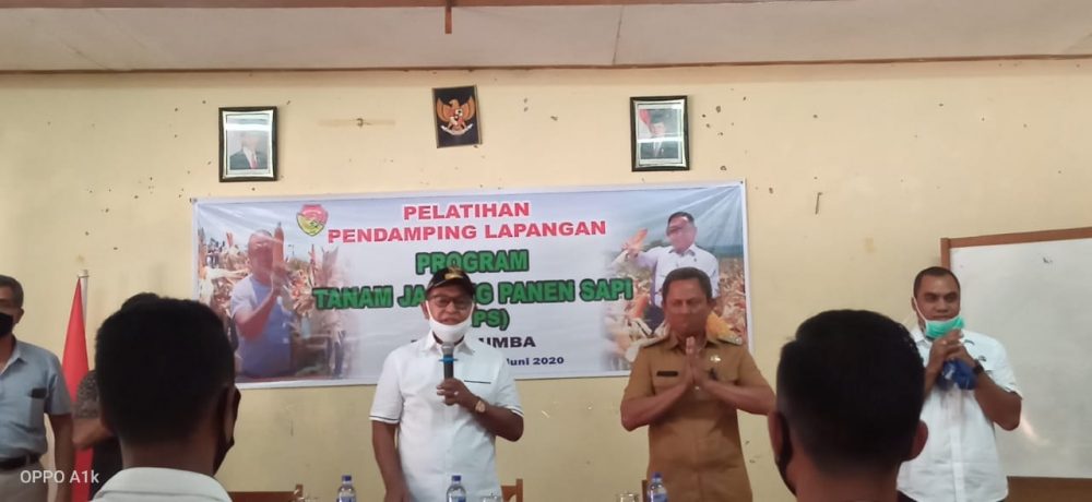 Gambar