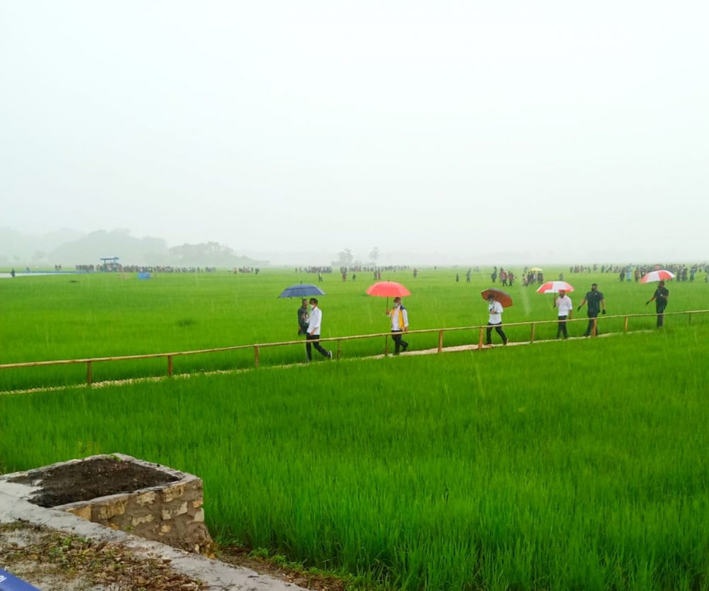 Pembangunan Food Estate: Manfaat Besar Bagi Masyarakat Sumba Tengah