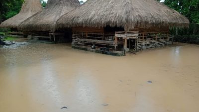 Kampung adat situs wisata Malandi tergenang, akibat cura hujan yang tinggi.