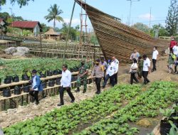 Sukses Bangunkan Lahan Tidur, Lapas Waikabubak Panen Perdana Sayuran Organik