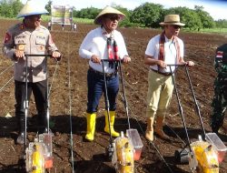 Semarak HUT NTT Ke-64, Pemprov NTT Gelar Kegiatan Tanam Jagung hingga Konser Hiburan