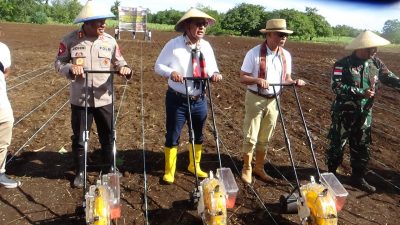 Semarak HUT NTT Ke-64, Pemprov NTT Gelar Kegiatan Tanam Jagung hingga Konser Hiburan