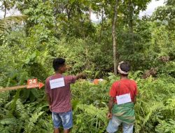 Rekonstruksi Kasus Pembunuhan Nona Ina