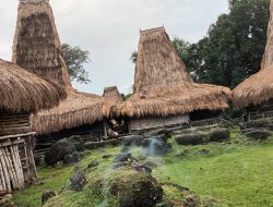 MENDUKUNG PESTA ADAT PASOLA KODI,BUMI INDAH LAKSANAKAN KERJA NYATA