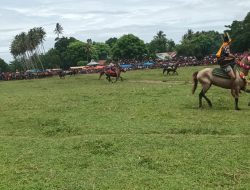 Unik Pasola Cuman ada di Sumba
