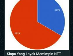 Berikut Nama Yang Dipoling Jadi Cagub dan Cawagub Provinsi NTT, Balon Dari Sumba Belum Ada