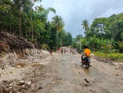 Warga Merindukan Peningkatan Jalan Weeholo Kodi Utara – Wanoroto Wewewa Barat Di Perbaiki