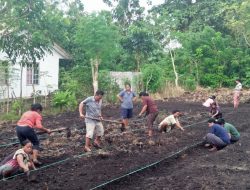 KUNJUNGAN KETUA TP. PKK KABUPATEN SBD,DI PKK DESA KALENA WANNO,MEMPERSIAPKAN LAHAN BEDENGAN SAYUR