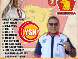 Yohanes Sason Helan,Calon DPR RI
