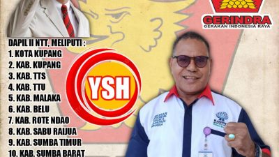 Yohanes Sason Helan,Calon DPR RI