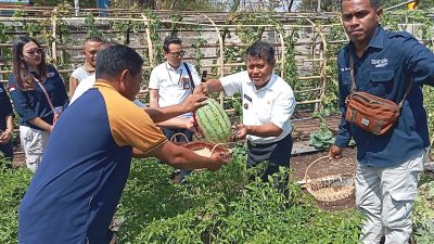 Penutupan Program dan Expo Sayuran, Momen Bersejarah bagi Pertanian Lokal di Sumba Barat Daya
