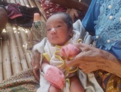 Sosok Karolina Penemu Bayi yang Dibuang di Kandang Ayam,Berkata ; “Ini Berkat dari Tuhan !”
