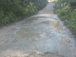 Suara Hati Masyarakat Rara Menjelang HUT RI ke-79: Wilayah Rara Dianaktirikan Pembangunan Infrastruktur Jalan Raya di Kabupaten SBD