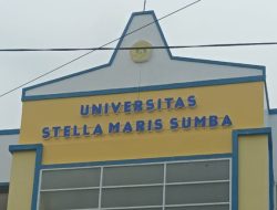 UNIVERSITAS STELLA MARIS SUMBA : MEMBENAH DIRI,TAWARKAN 7 PRODI