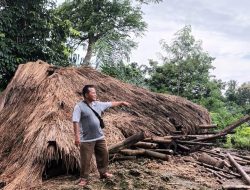 Kondisi Rumah Wartawan Suaraindonesia1.com, Fabianus Mone Pati, Diterjang Angin Kencang dan Hujan Lebat di Bondo Kodi