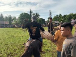 Jelang Pasola Sumba Barat Daya, Warga Kodi Gelar Latihan di Lapangan Terbuka