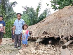 Angin Kencang Di Sertai Hujan Lebat, Rumah Seorang Wartawan Rusak Parah dan Roboh