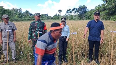 Bupati SBD,Dukung Setiap Kelompok Tani yang Mau Berusaha