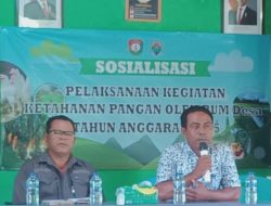 Melaksanakan Bimtek BUMDes di Kantor Desa Radamata, Ada 3 Desa yang Hadir