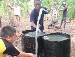 Masyarakat Gembira Hadirnya Sumur Bor,Alirkan ke  Jagung Pulut dan Sayur BUMdes dan Warga Desa Kalena Wanno SBD !