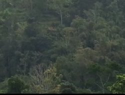 Keamanan dan Kewaspadaan Masih Dirasakan oleh Warga Kodi di Jembatan Polakarambo