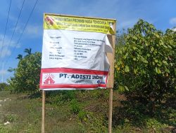 PT. Adisti Indah Genjot Pengerjaan Long Segmen Jalan Patiala–Weetana, Warga Lamboya Barat Antusias