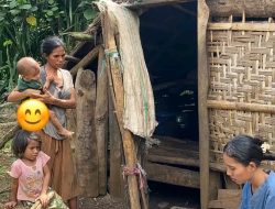 Rumah Tidak Layak Huni Viral, Bung Umbu Ketua DPM Unitri Asal NTT Sumba Barat Daya Desak Pemerintah Peduli