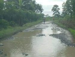 Akses Jalan di Kodi Balaghar Rusak Parah, Warga Minta Pemkab SBD Segera Bertindak