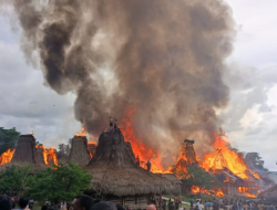 Kampung Adat Waruwora di Sumba Barat Hangus Dilalap Api, 26 Rumah Tradisional Ludes
