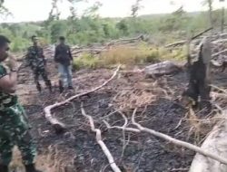 Penebangan dan Pembabatan Liar Ditemukan di Sejumlah Titik Rawan, Kodim 1629/SBD Turun Bersama Media