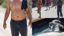 Pencuri Sapi Dihadang Warga di Tengah Jalan, Mobil Pikap Pengangkut Sapi.